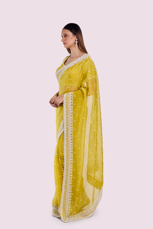 Winter Moti Organza Saree