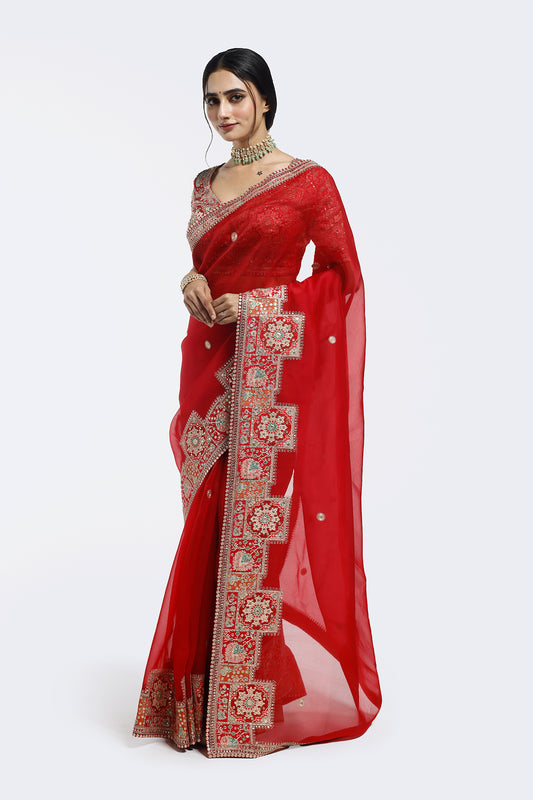 Kasab Edge Organza Saree