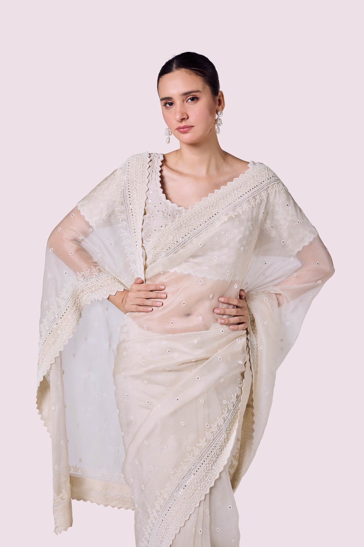 Winter Moti Organza Saree