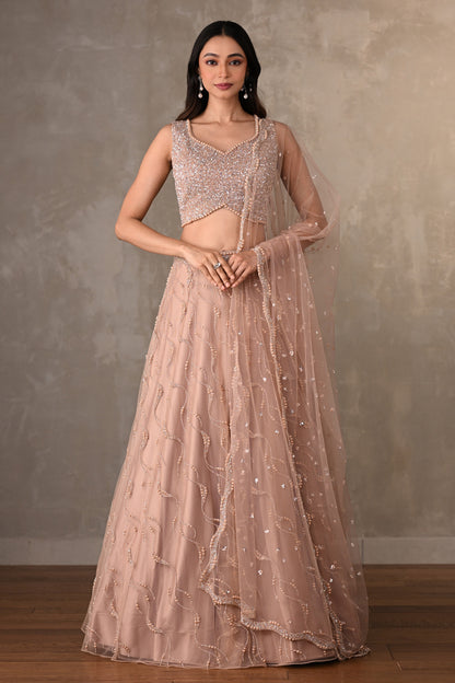 Blush Gleam Net Embellished Lehenga Set