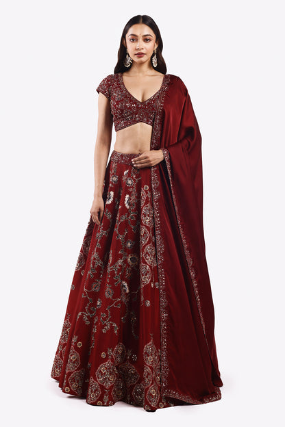 Nebula Zari Lehenga