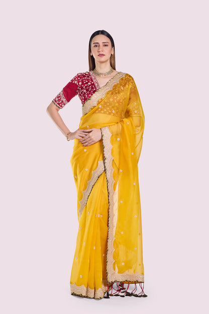 Tonakan Organza Saree