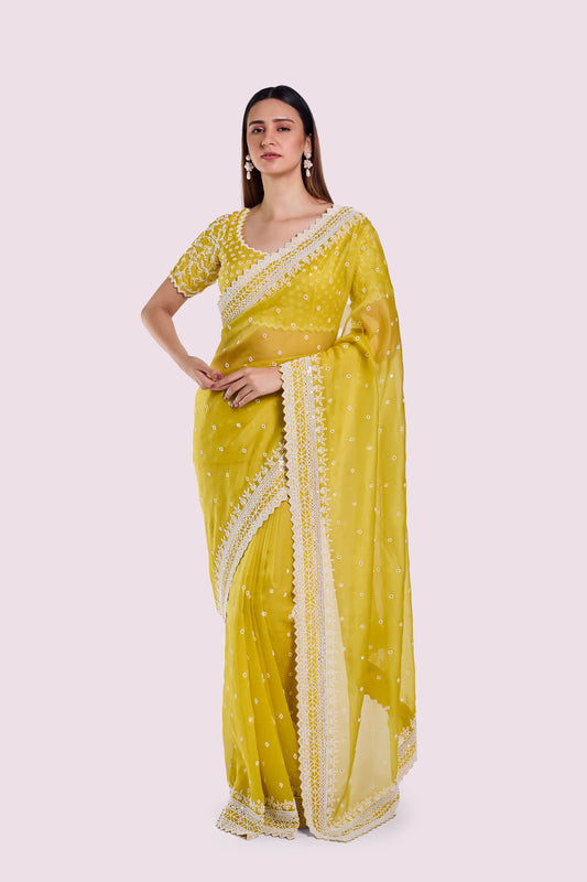 Winter Moti Organza Saree