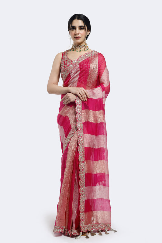 Champagne Panelled Tissue Saree