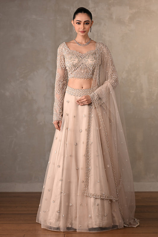 Soft Radiance Net Lehenga Set
