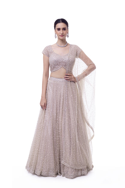 Off White Net Lehenga