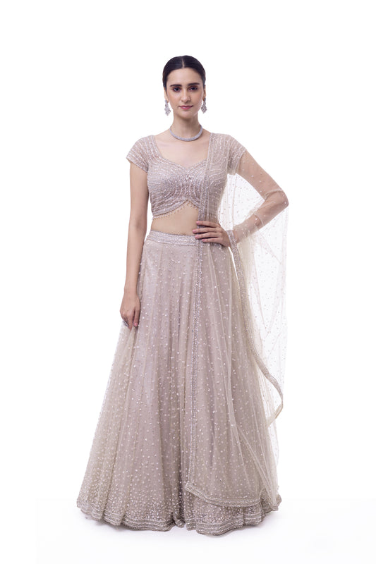 Off White Net Lehenga