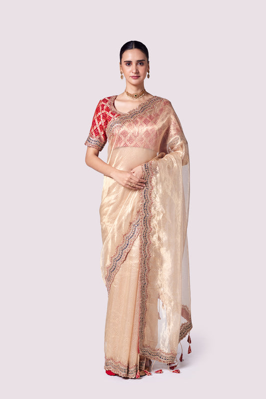 Patterned Tissue Saree