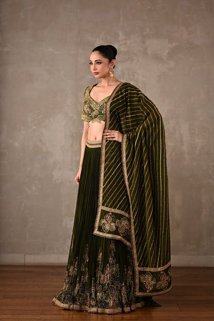 Botanical Drape Embellished Lehenga Set