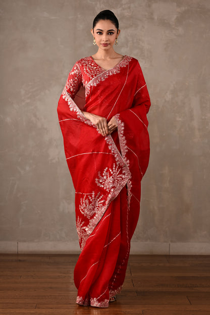Organza Saree with Kasab & Sequin Embroidered Blouse