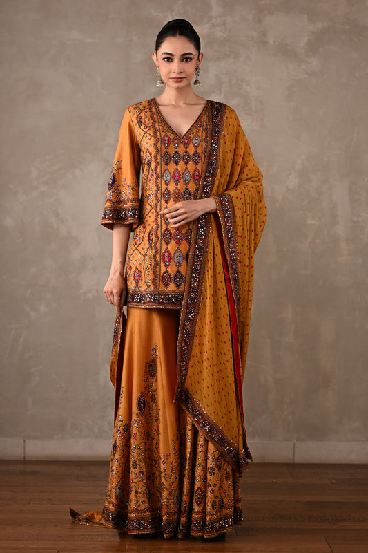 Printed Embellished Kurta Sharara Set