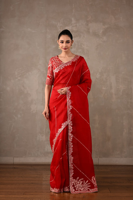 Organza Saree with Kasab & Sequin Embroidered Blouse
