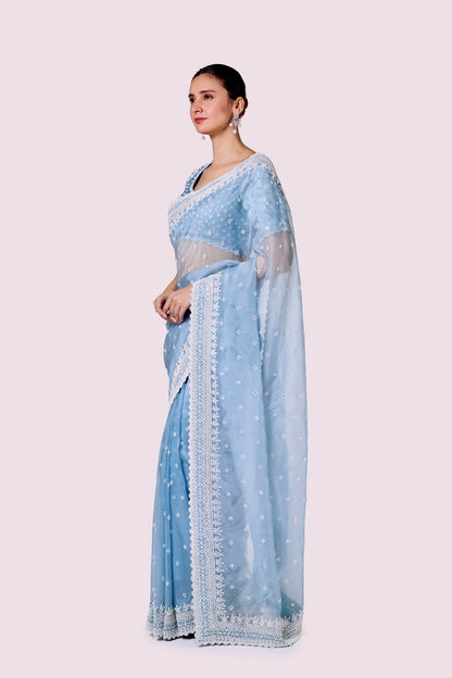 Winter Moti Organza Saree