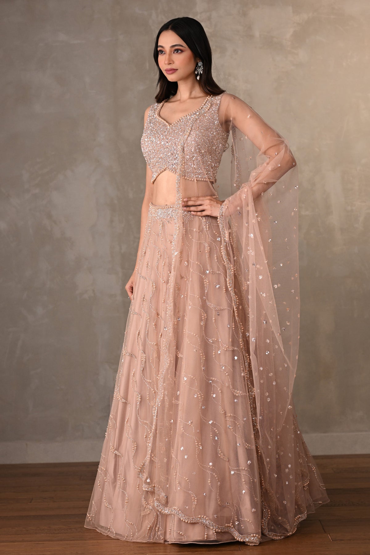 Blush Gleam Net Embellished Lehenga Set