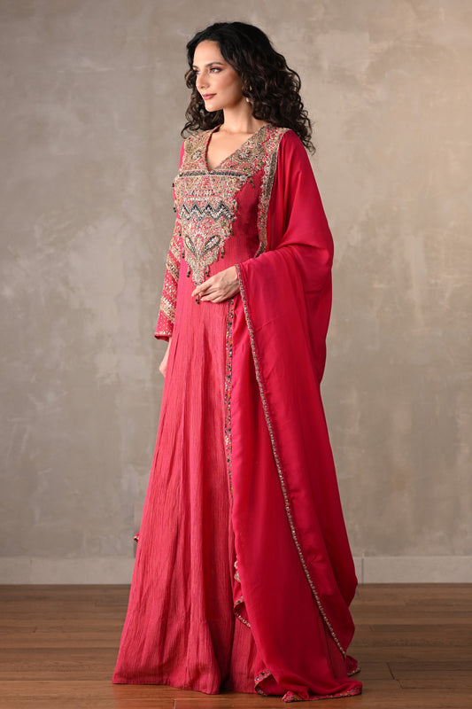 Rani Luxe Embroidered Organza Anarkali