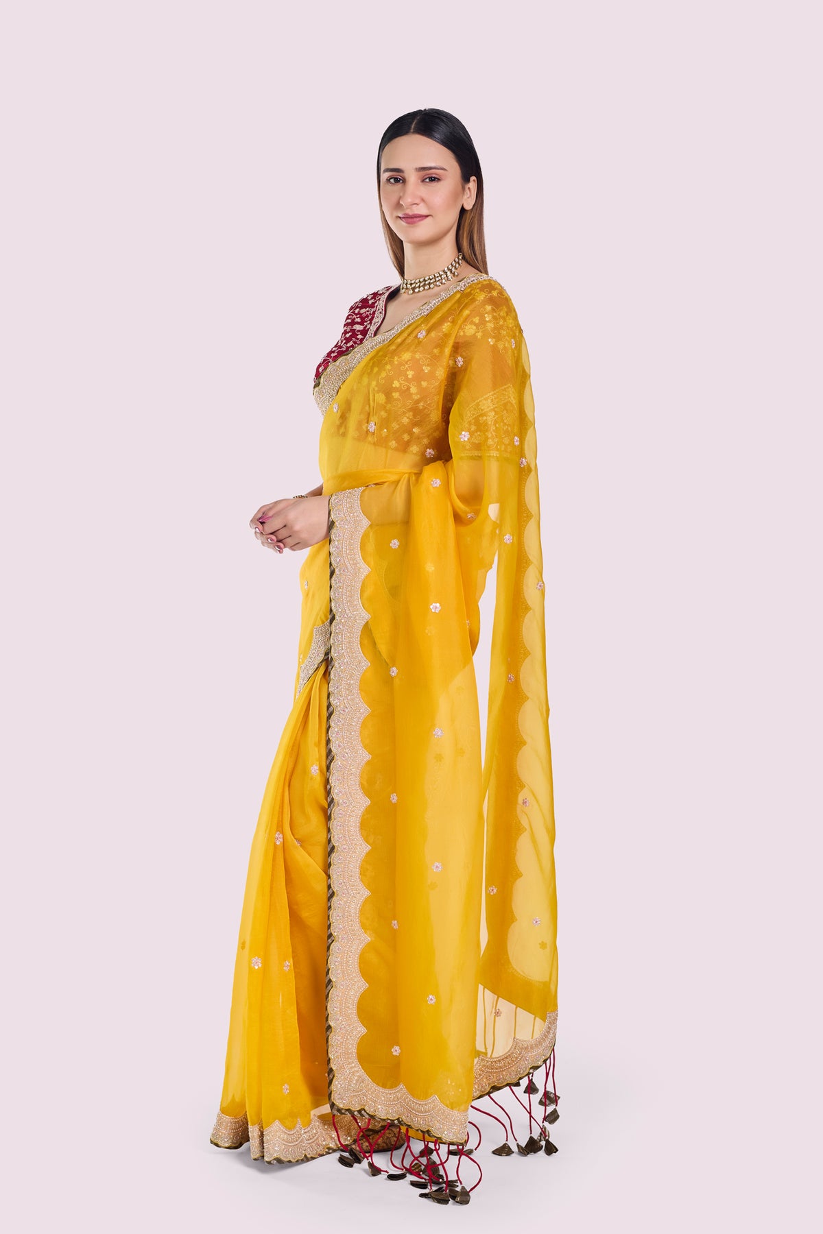 Tonakan Organza Saree