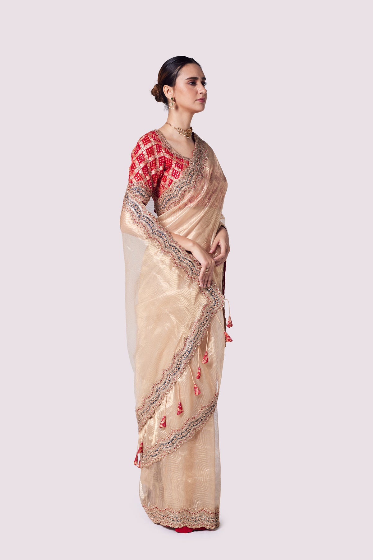 Patterned Tissue Saree