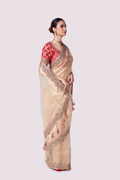 Patterned Tissue Saree