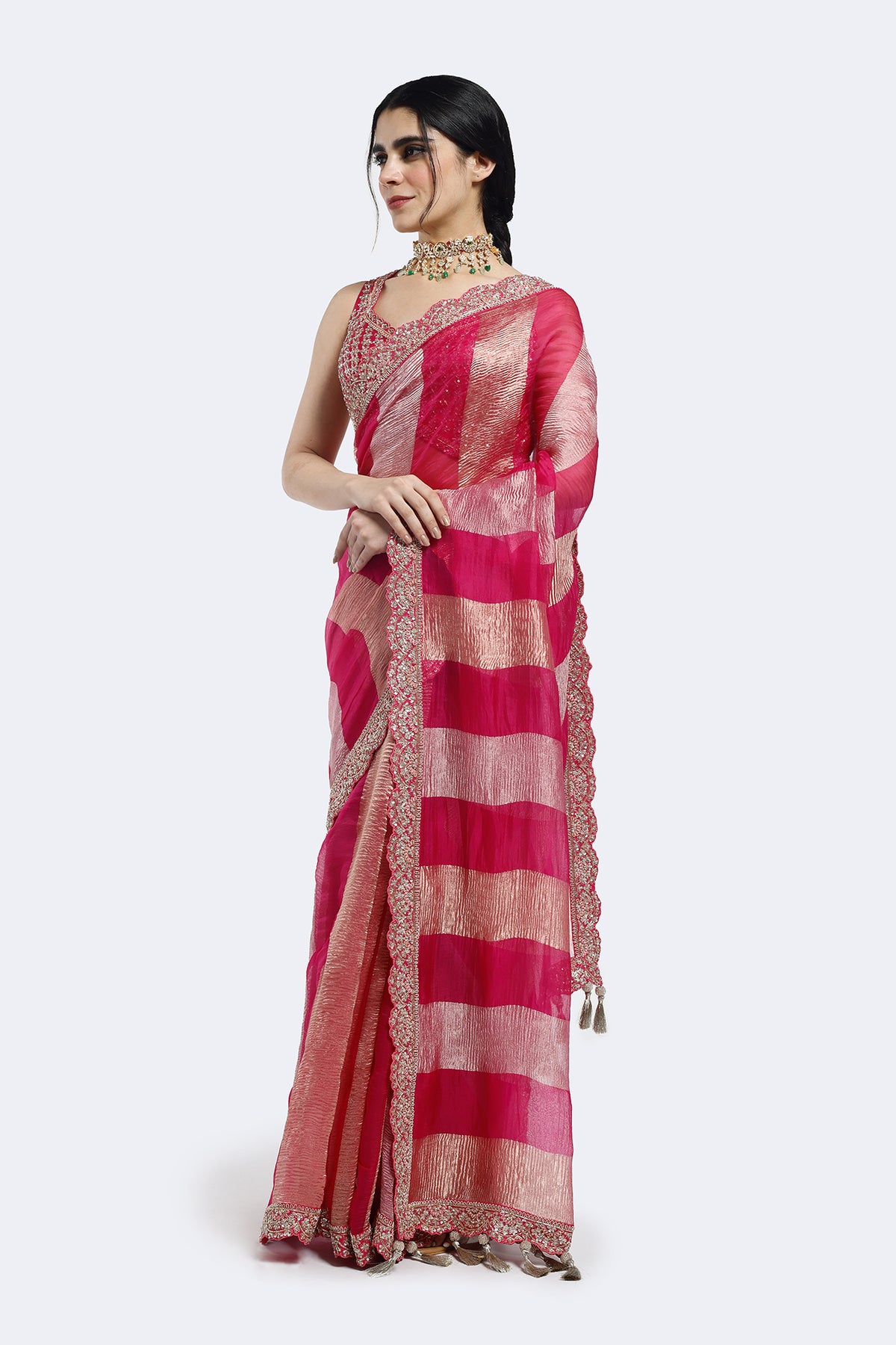 Champagne Panelled Tissue Saree