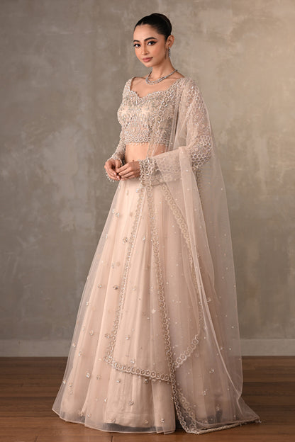 Soft Radiance Net Lehenga Set