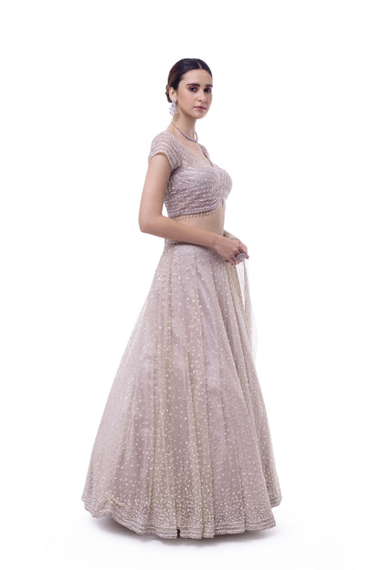 Off White Net Lehenga