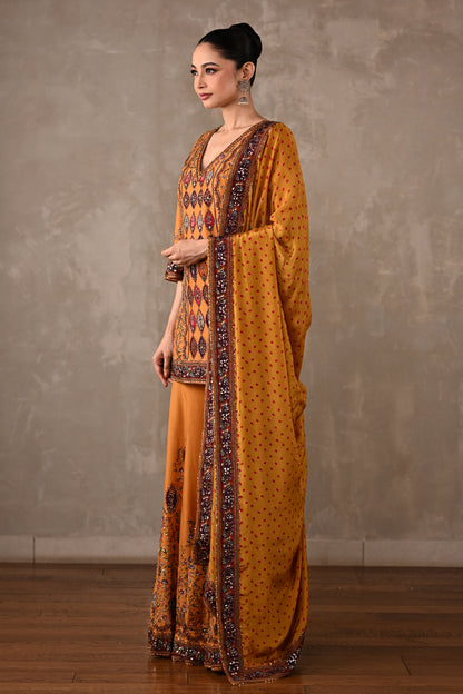 Printed Embellished Kurta Sharara Set
