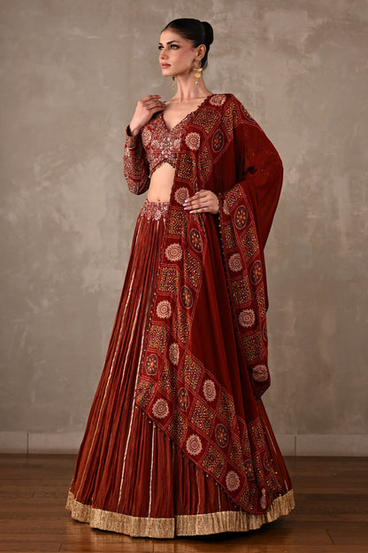 Printed Embroidered Organza Tissue Lehenga