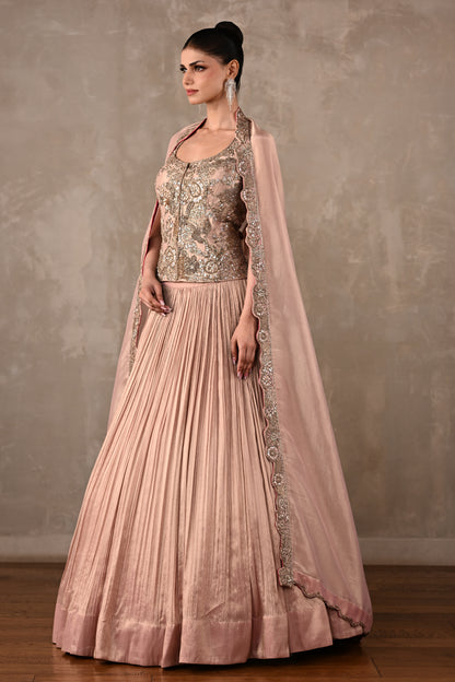 Elysian Tissue Lehenga Set