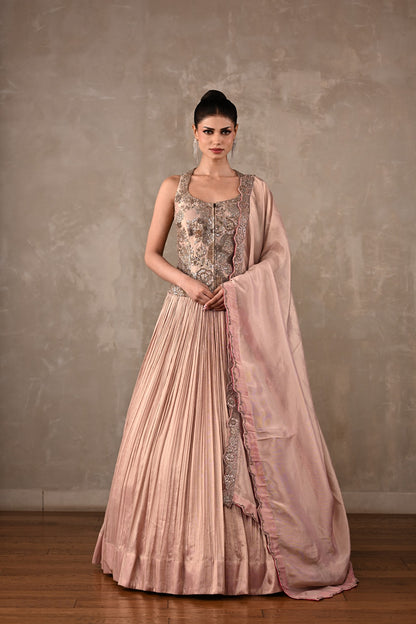 Elysian Tissue Lehenga Set