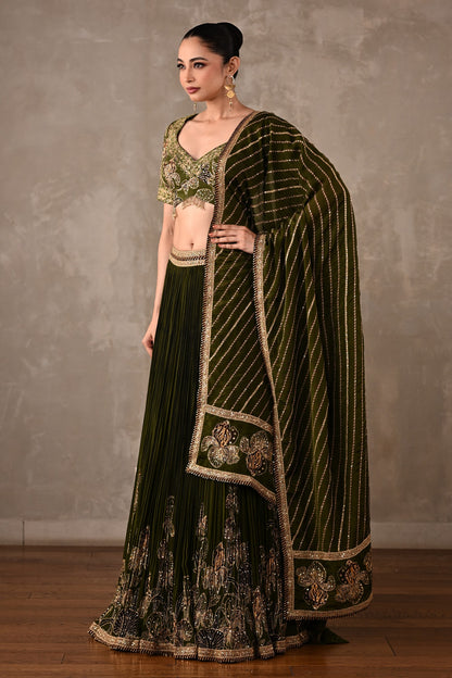 Botanical Drape Embellished Lehenga Set