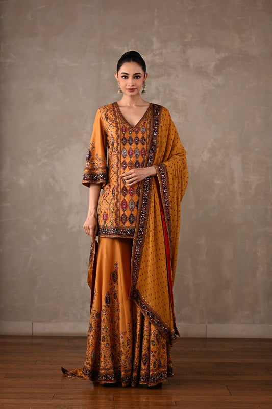 Printed Embellished Kurta Sharara Set
