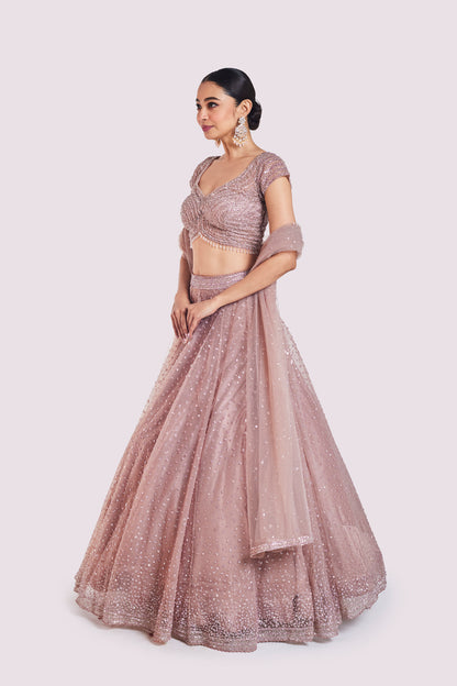 Onion Pink Net Lehenga