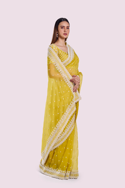 Winter Moti Organza Saree