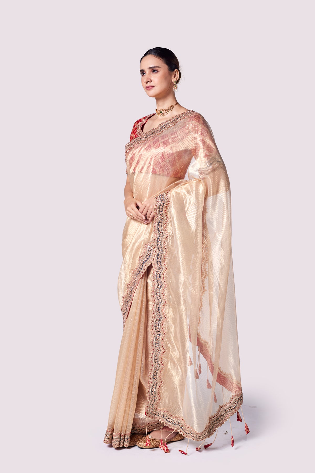 Patterned Tissue Saree