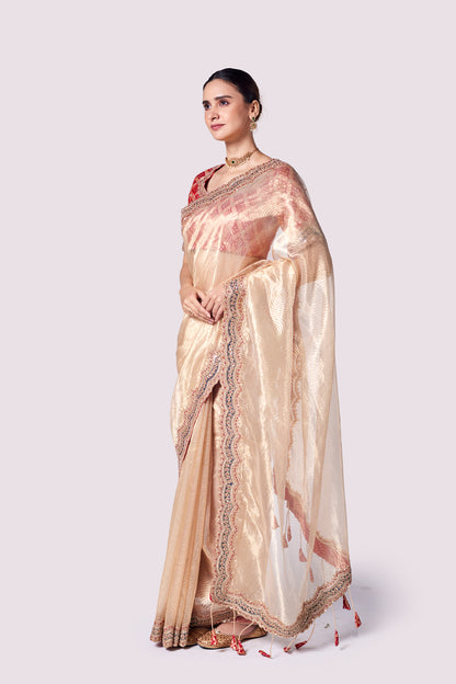 Patterned Tissue Saree