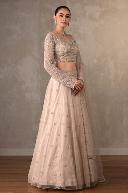 Soft Radiance Net Lehenga Set