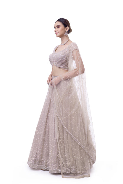 Off White Net Lehenga