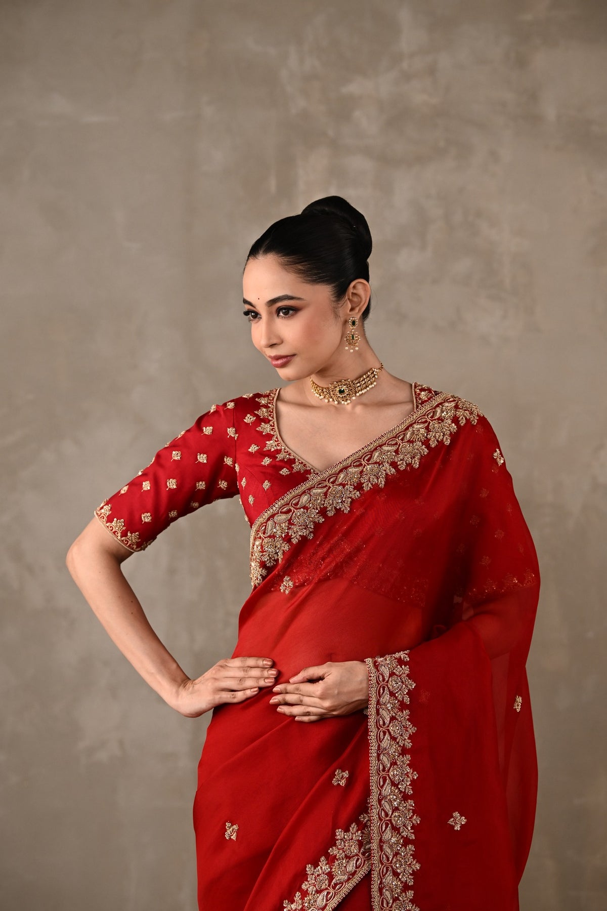 Organza Saree with Embroidered Blouse