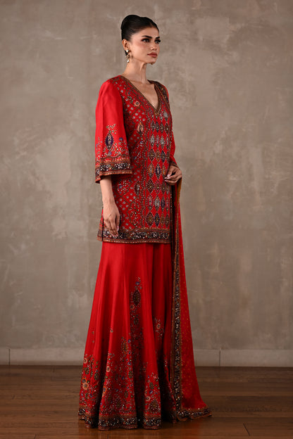 Printed Embellished Kurta Sharara Set
