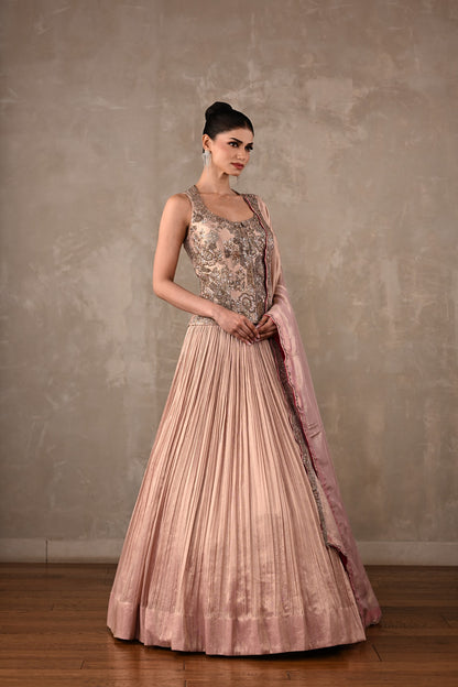 Elysian Tissue Lehenga Set