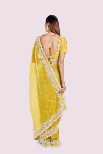 Winter Moti Organza Saree