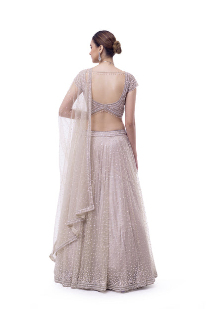 Off White Net Lehenga