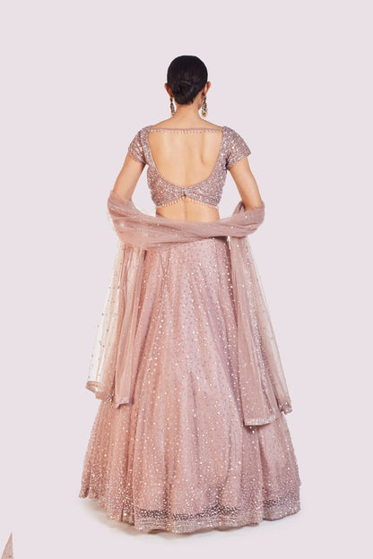 Onion Pink Net Lehenga
