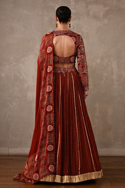 Printed Embroidered Organza Tissue Lehenga