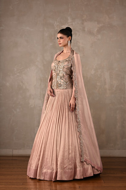 Elysian Tissue Lehenga Set