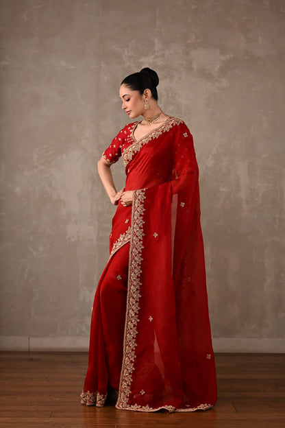 Organza Saree with Embroidered Blouse