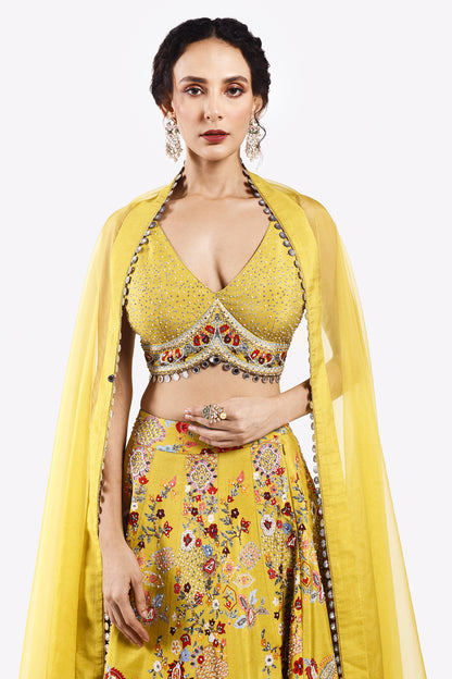 Multicolour Floral Organza Lehenga