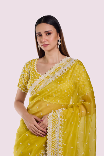 Winter Moti Organza Saree