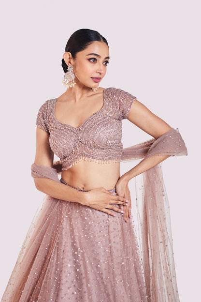 Onion Pink Net Lehenga
