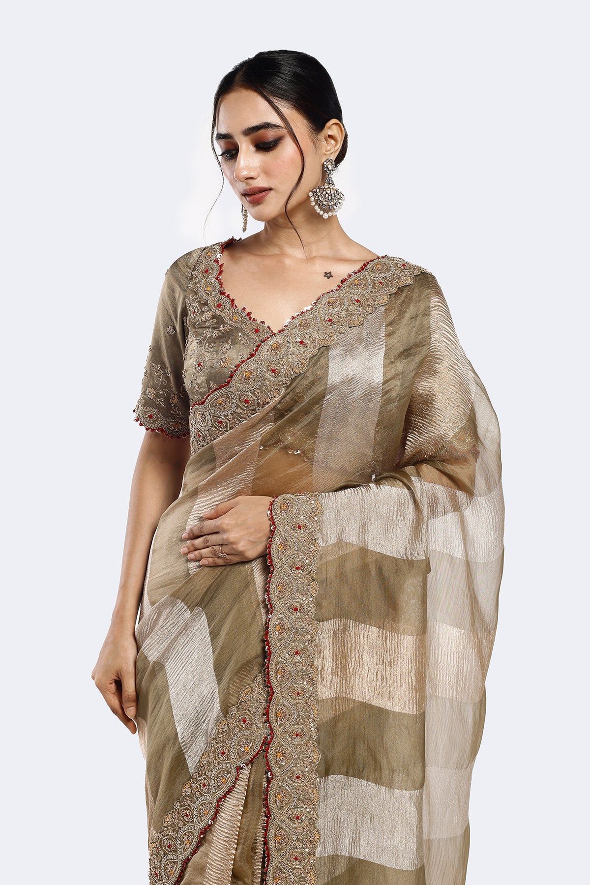 Panelled Tissue Saree